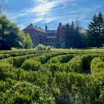 Disrupting Fixity: A Path toward Regenerative&nbsp;Practice